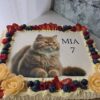 Toitlustuspaketid laste pidudele – maitsvad ja mitmekesised peolauad koos batuudiga.